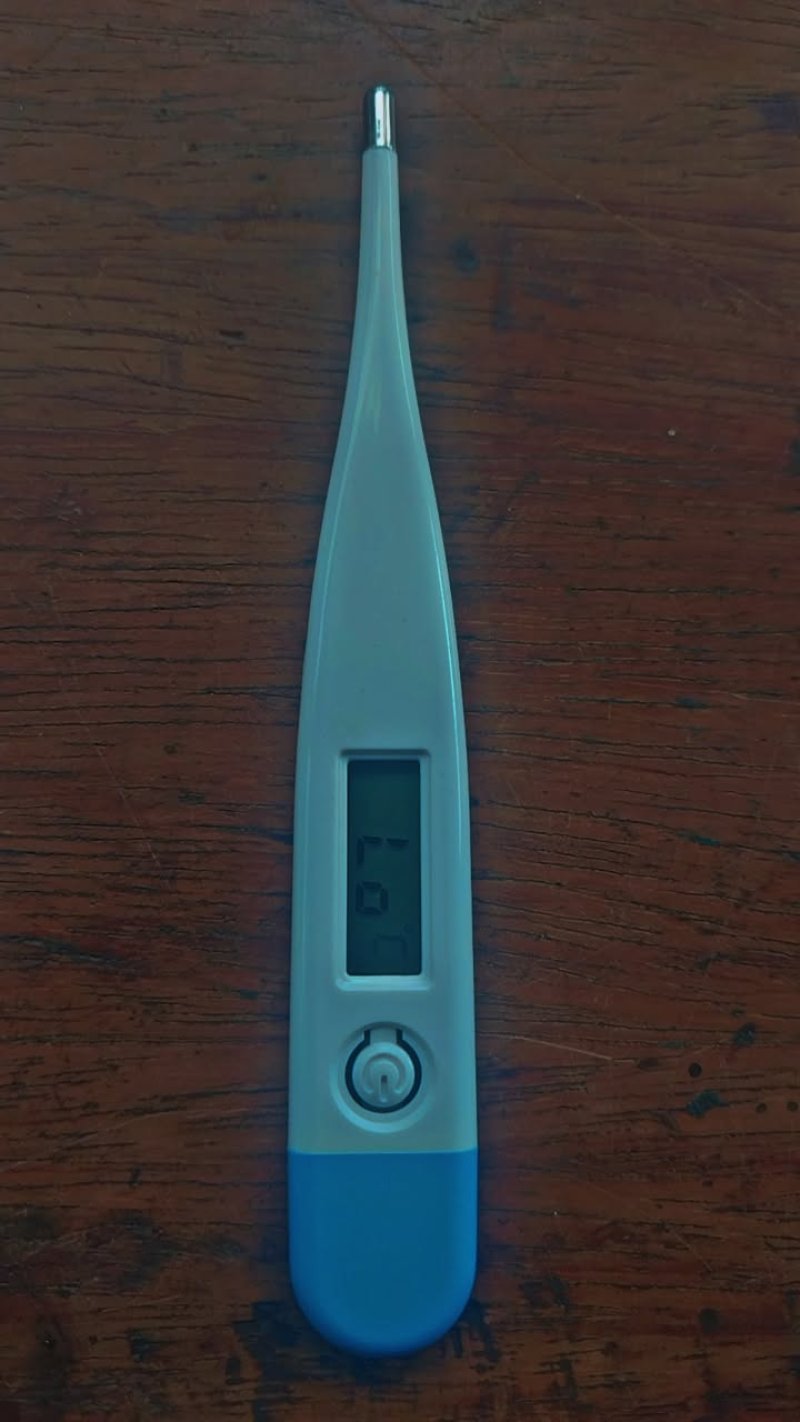 Vente de mini thermomètre 🌡